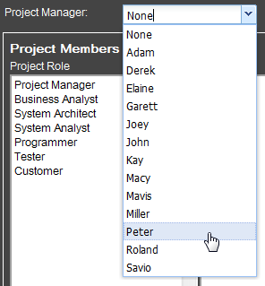 select project manager