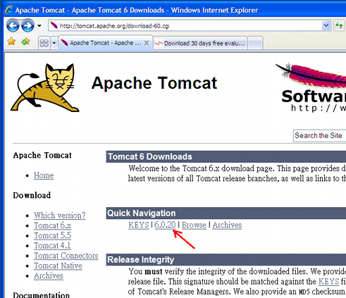 Select tomcat version