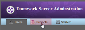 projects tab