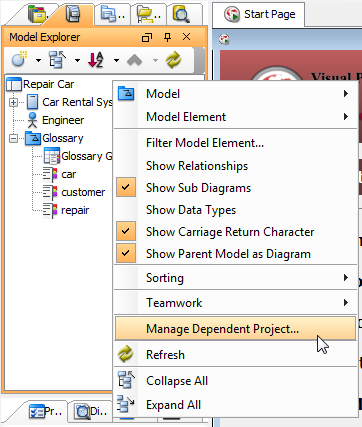 manage project