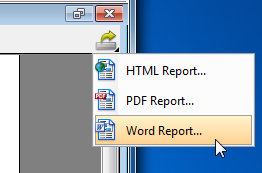 export word report